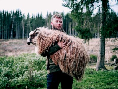 shepherd-sheep-foyn-e7gsQWTnMwQ-unsplash-400x300p